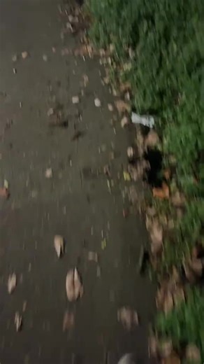 Videos de Click kick (@clickskick) con “I can't describe what I'm feeling - lyrλmbient”