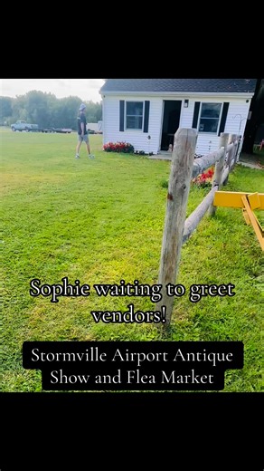 Our door greeter, Sophie! 🐶 #antiques #upcycle #fleamarket #outdoors | Stormville Airport Antique Show and Flea Market
