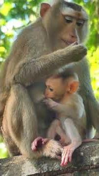 Cute Baby Sari Mama caring