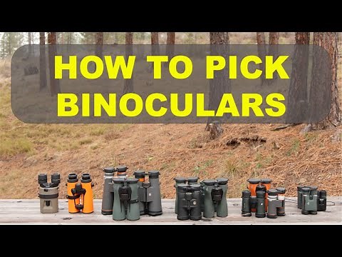 Binoculars 101: How to Choose the Perfect Pair