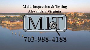 Mold Inspection & Testing Manassas Virginia