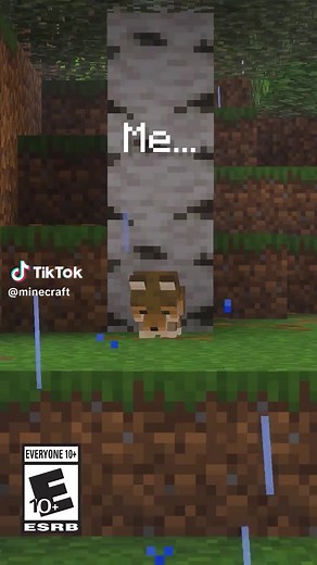Celebrate Valentine’s Day with Minecraft Memes