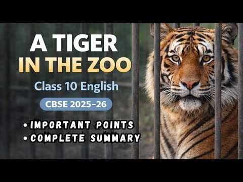A Tiger in the Zoo Class 10 | Most Important Questions | a tiger in the zoo class 10 central idea