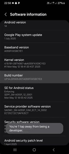 How to enable Developer mode or option