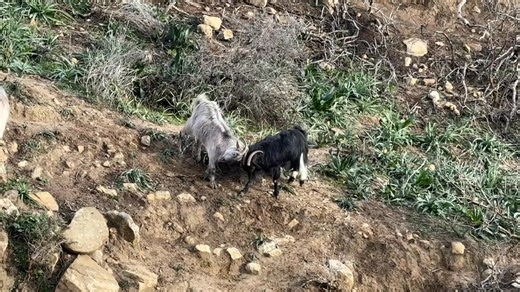 39K views · 5.7K reactions | Good morning! Morning games from my...