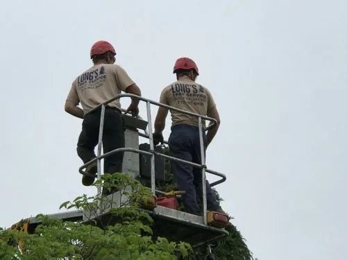 Longs Tree Service | Annville PA
