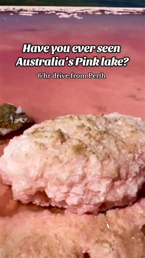 Yes, it’s really that pink! 💗👀 𝗗𝗶𝗱 𝗬𝗼𝘂 𝗞𝗻𝗼𝘄? Pink Lake — also known as Hutt Lagoon — gets its surreal hue from microscopic algae called Dunaliella salina. These algae thrive in the lake’s salty environment and produce beta-carotene, a pigment also used in natural food coloring and vitamin A supplements! 🎨 The lake’s color shifts with the sunlight, seasons, and cloud cover — ranging from soft blush to vibrant bubblegum, and even deep red under the right conditions. 📍 Hutt Lagoon is 