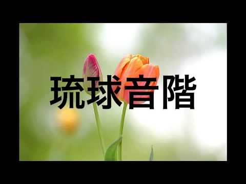 いろいろな音階