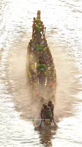 The tradition of boat races in Kerala spans centuries and is believed to have originated from ancient military & royal competitions. From the impressive 100ft snake-shaped 'Chundan Vallam' to the more traditional 'Oru Vallam,' each boat races with great enthusiasm & fervour. As crowds eagerly await the boats gliding through the backwaters, a vibrant water parade precedes the race. Truly ,an experience worth witnessing in person🚣‍♀️🌴 📍Karuvatta, Alappuzha, Kerala VC: mallu_copter_man ( Instagr