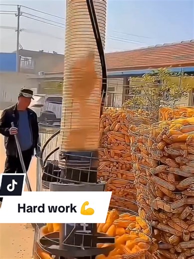 The Importance of Hard Work in Achieving Success