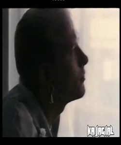 BROS-Cat Among The Pigeons1988