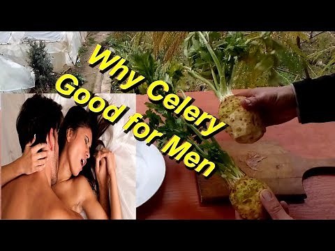 Why Celery Good for Men/ Benefits of Celery for Male