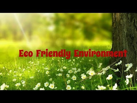 Information/"Eco Friendly Environment"