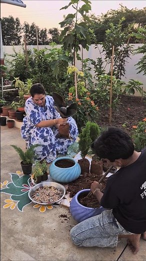 6 plants sampling in our Garden ✨️🪴 #trending