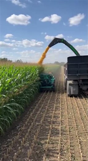Advanced Robotic Corn Harvester with Smart AI Precision #farming #robotics #agtech