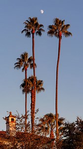 2.2K views · 115 reactions | Fall semester comes to an end.  We hope you all have a safe and wonderful winter break! #scrippscollege #claremont #fall | Scripps College | Facebook