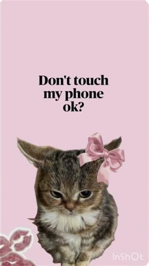 Funny wallpaper ideas for you !💕#ideas #funnyvideo #creative #cute