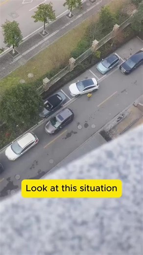 #driverguide #conseilsconduite #astucesconduite #videoviral