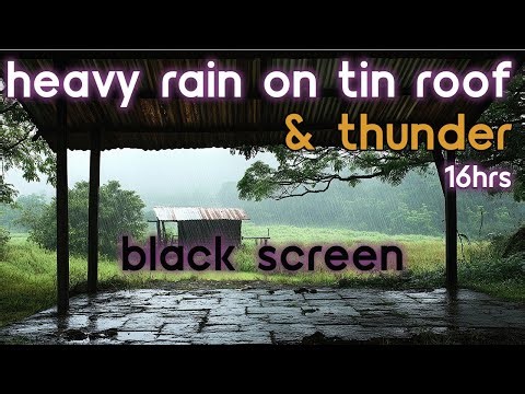 [Black Screen] Heavy Rain and Thunder on Tin Roof | Rain Ambience | Rain Sounds for Sleeping