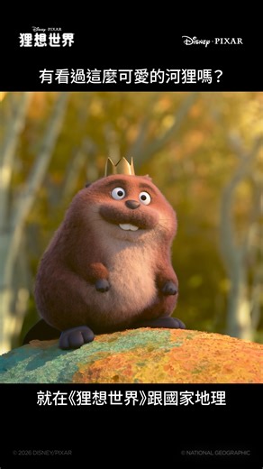 有看過麼可愛的河狸嗎？🦫💦 沒有的話，現在讓你看看😎 就在皮克斯新作《#狸想世界》 & Disney 中的「國家地理」 🎬3月18日 大銀幕可愛爆擊登場💥 | 國家地理
