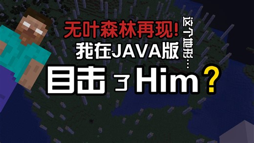 #我的世界#我目击了Herobrine(Him)！