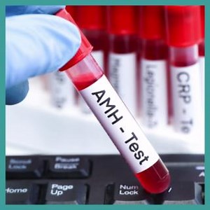 The decision to undergo AMH testing may stem from various...
