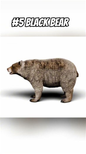 Ranking all 13 great ones in The Hunter: call of the Wild™ #jesus #hunting #fishing #cotw #fypシ