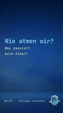 Wie atmen wir? Die Atmung einfach erklärt für Kinder | Hol dir die kostenlose 📱 Heftig App.