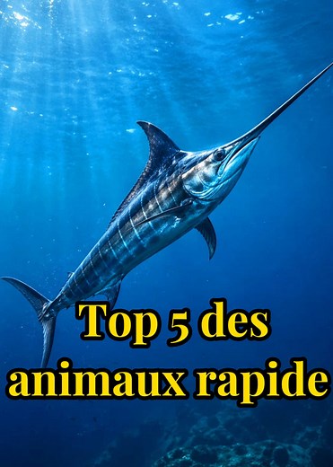 Apprendre la vitesse des animaux : conseils et exemples