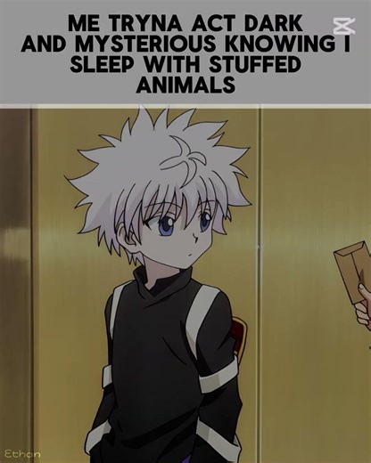 I have two mymelody plushies, some hxh ones and random animals lol