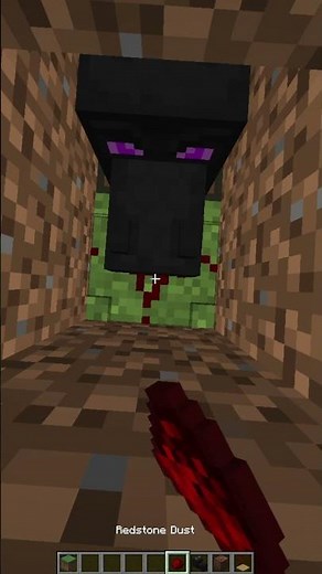 The Real Sound of the Ender Dragon?💀💀