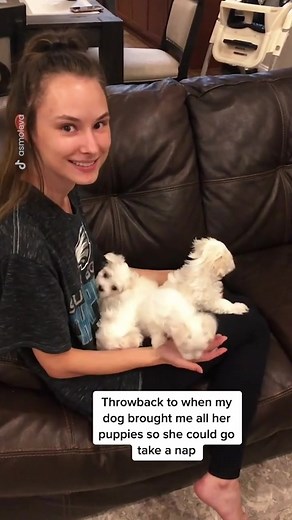 Adorable Dog Bringing Me Her Puppies | Alina Smoleva