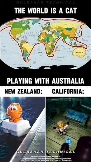 The World Map Is Actually a Cat? 🐱🌍