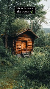 97K views · 10K reactions | Life is better in the woods  … | Norway |  more beautiful cabins @giuliogroebert |  currently exploring Trentino  w/ @elena_wuest | #cabin #cabins #nature #forest #naturelovers #naturelover #norway #cabininthewoods #earth #beautifulearth #forest #naturewalk | Giulio Groebert Photography | Facebook