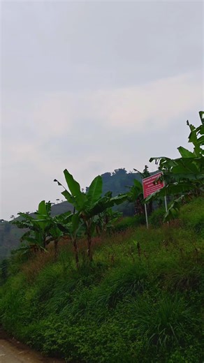 hadimohamad on TikTok