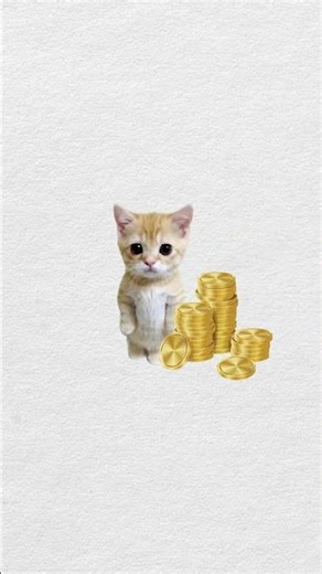 How money laundering works, explained by an alien #cat #cute #alien #funny #money