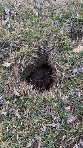 2.2K views · 24 reactions | Bryan Flowers with Fur Life Tv is on location chasing muskrat. Trapping season is in full swing. | Huntchannel.tv | Facebook