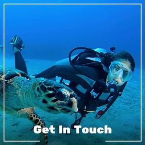 322 reactions · 15 shares |  Experience the ultimate dive getaway at Sunset House Grand Cayman! 錄 Immerse yourself in our exceptional dive adventures led by expert instructors. Indulge in divine cuisine, sip cocktails, and witness breathtaking sunsets. With spacious rooms, poolside relaxation, and exclusive dive experiences like exploring the Kittiwake wreck, your Caribbean dream vacation awaits! Get in Touch! | Sunset House, Grand Cayman's Hotel For Divers, by Divers | Facebook