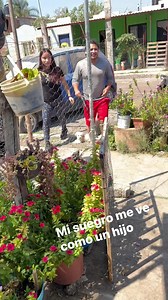 2.4M views · 45K reactions | Mi suegro me ve como un hijo #trevorius #suegro | Trevorius | Facebook