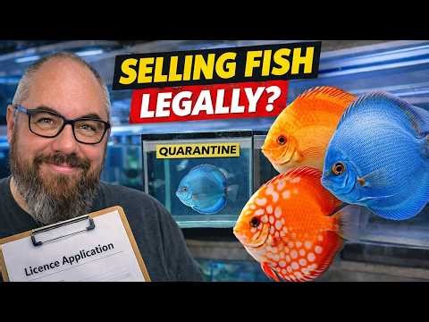 From Fishroom to Fish Business – Getting Licensed to Sell Fish