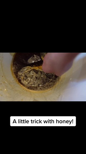 Honeystead on TikTok