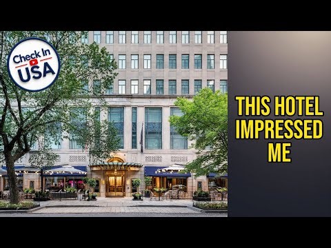 Sofitel Washington DC Lafayette Square Hotel - This Hotel Impressed Me | Washington D.C.🏩