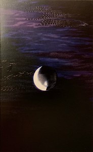 Quantum Echo - Digital Stasis