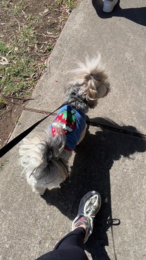 Summer Pedicure at CJ Artistry with Crazy Nail Art | Process & Results