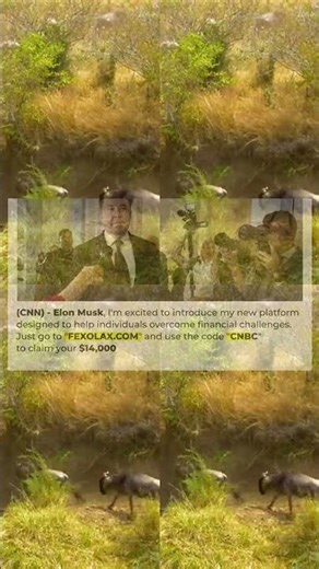 THE GREATEST ANIMALS 8K ULTRA HD with Animal Sounds Colorfully Dynamic 1976s