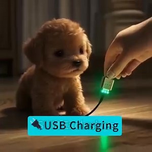 🐾 The Most Realistic Robot Puppy! 🐶 Walks, barks, and wags its tail—just like the real thing! ✨ Perfect for all ages. 🎁Get one for your family! https://t.site/3BMxFJp | Advocatew