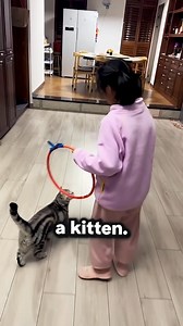 21 reactions | #facts #funfacts #didyouknow #dailyfacts #amazingfacts | Facts Vedio | Facebook