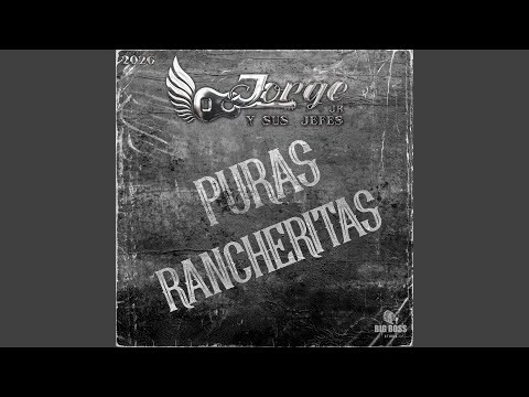 Noches De Junio