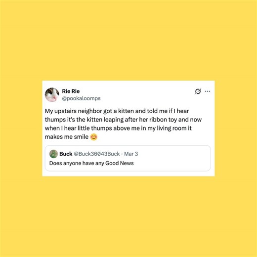 29 of the funniest posts about cats and dogs this week (Feb. 28-March 6)