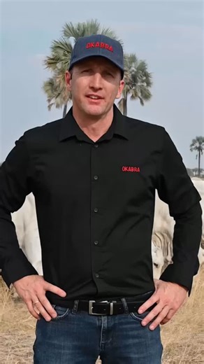 💪 3 Reasons to Choose OKABRA: 1️⃣ Accurate Data Capturing – The largest Brahman stud worldwide with a 5-star ⭐️ Breedplan performance rating. 2️⃣ Fertility – One of the strongest fertility lines in the African Brahman herd runs right here. 3️⃣ 100 Years of Farming Excellence – Proven adaptability under extensive conditions. Our cattle are built to thrive on the veld. 🌱 For proven performance, fertility, and veld adaptability – choose OKABRA! 🔆 Summer Signature Sale 📆 11 November | 18:00 📍 A